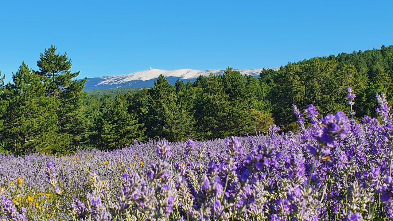 A Ventoux Yourte Monieux Exteriér fotografie
