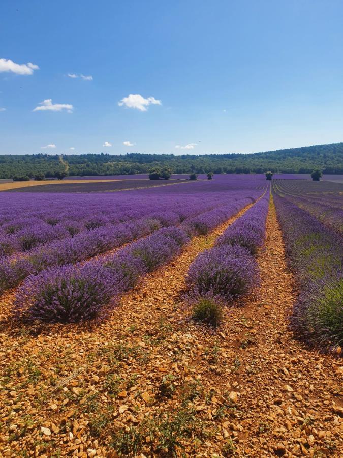 A Ventoux Yourte Monieux Exteriér fotografie