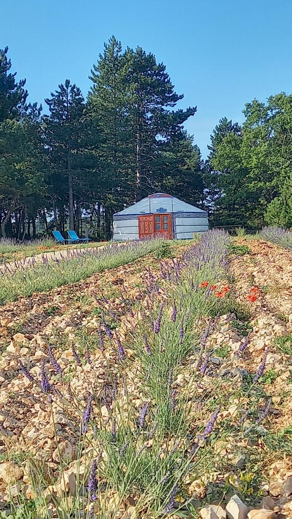 A Ventoux Yourte Monieux Exteriér fotografie